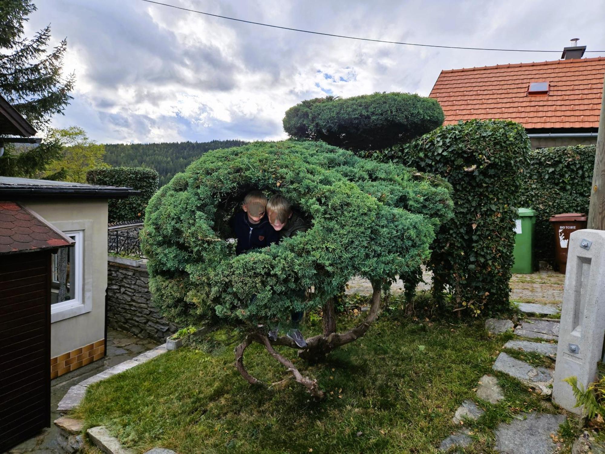 Huette Auf 1000M Hoehe In Moenichkirchen. エクステリア 写真