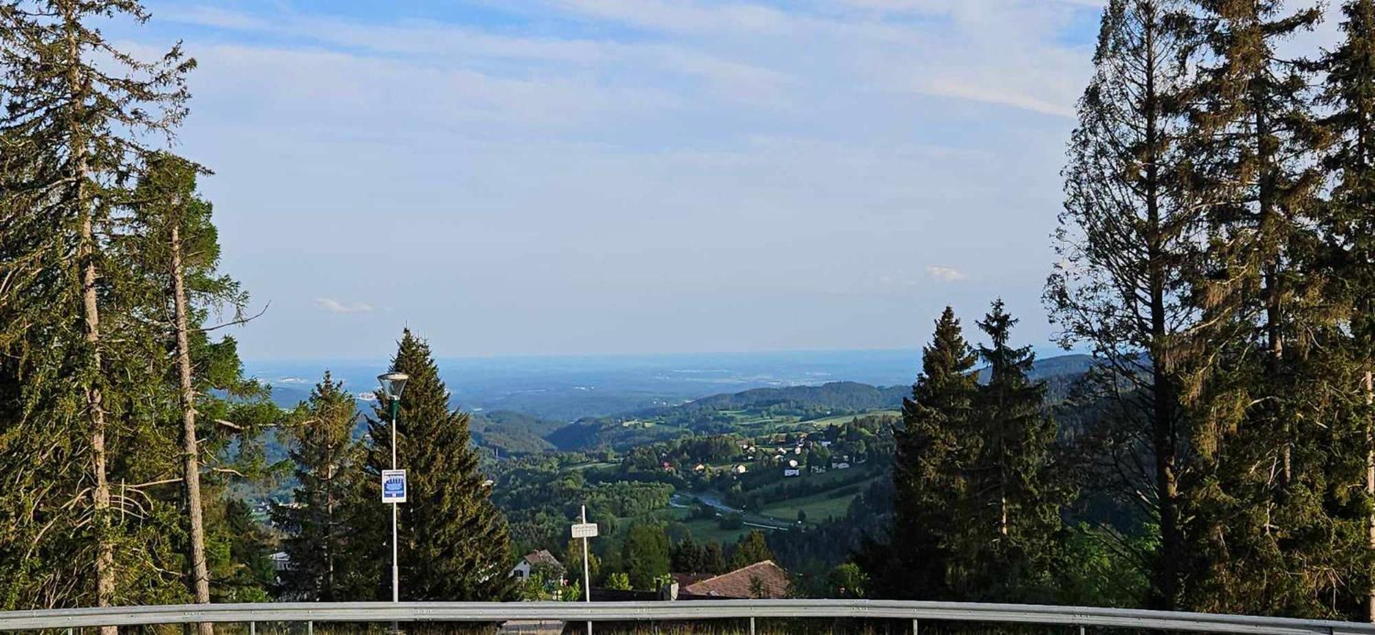 Huette Auf 1000M Hoehe In Moenichkirchen. エクステリア 写真